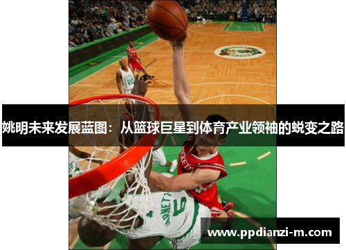 姚明未来发展蓝图：从篮球巨星到体育产业领袖的蜕变之路